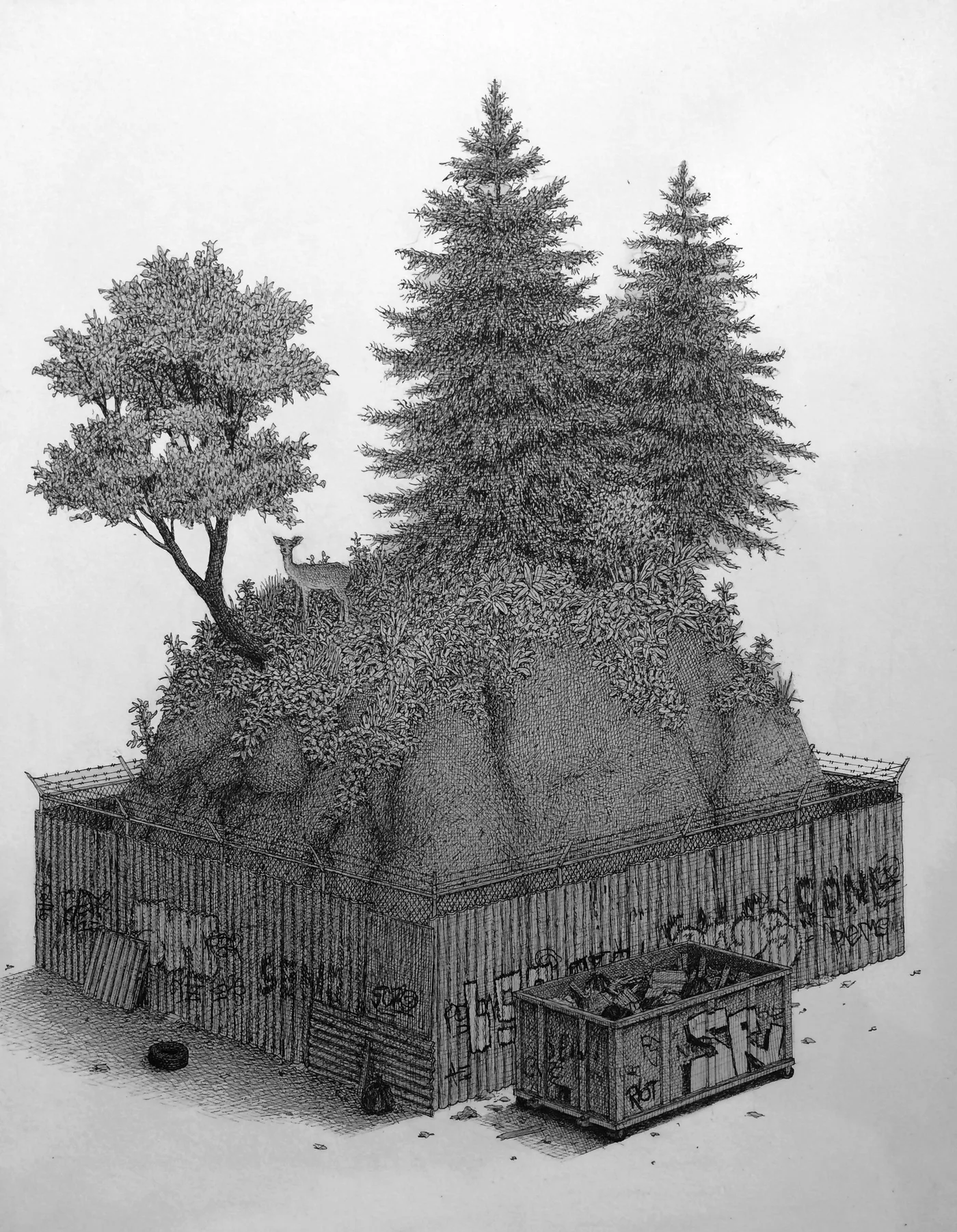 A Bit of Nature (2015) - ink drawing by Ben Tolman